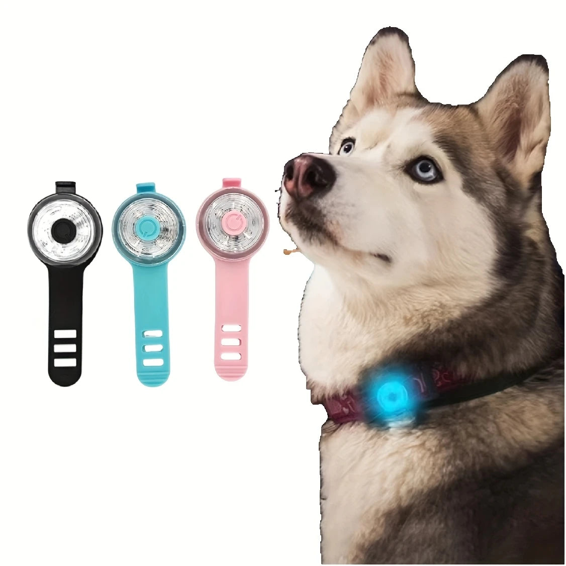 Lumière de sécurité LED pour collier – Accessoire personnalisable pour animaux de compagnie