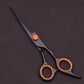 Kit de Coiffure Professionnel 10 Pièces – Ciseaux de Coupe, Rasoir, Peignes et Étui de Rangement