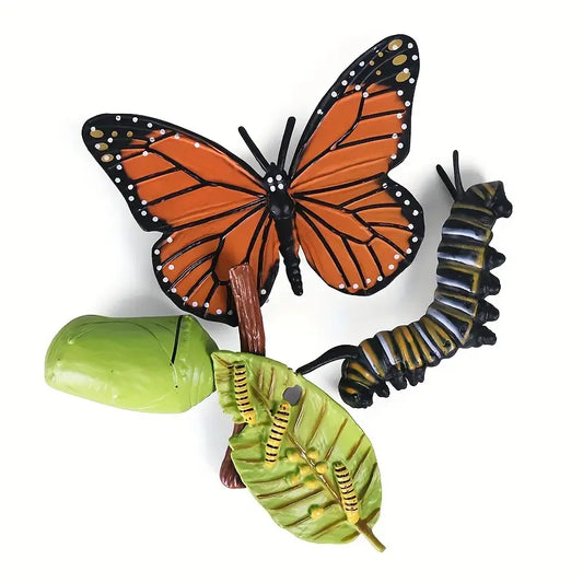 Maquette du Cycle de Vie du Papillon – Modèle Éducatif en 4 Étapes pour Études Biologiques et Scientifiques