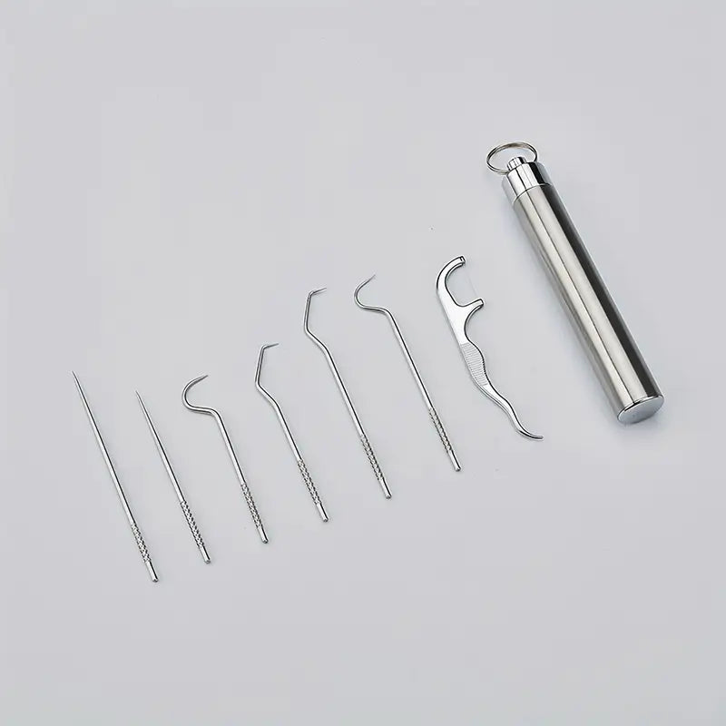 Kit Dentaire Professionnel Inox – Outils de Détartrage et Nettoyage des Dents avec Étui Métallique