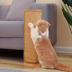 Griffoir Inclinable pour Chat avec Structure en Bois