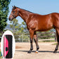 Tondeuse de Toilettage pour Chevaux – Brosse Électrique 2-en-1 pour Crinière et Pelage – Soin Équin Professionnel