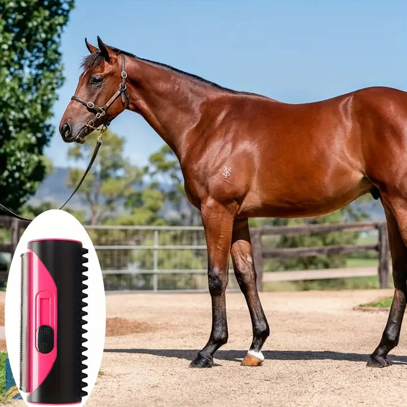 Tondeuse de Toilettage pour Chevaux – Brosse Électrique 2-en-1 pour Crinière et Pelage – Soin Équin Professionnel
