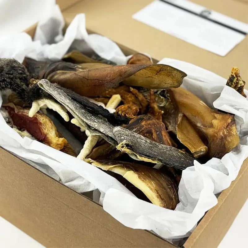 Box de Friandises Naturelles pour Chiens – Panaché de Produits Séchés 100% Naturels à Mâcher