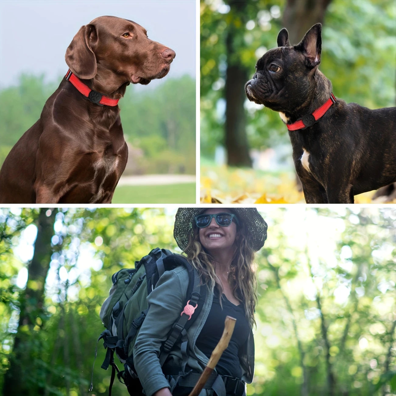 Support silicone pour médailles AirTag – Sécurité et confort pour votre animal