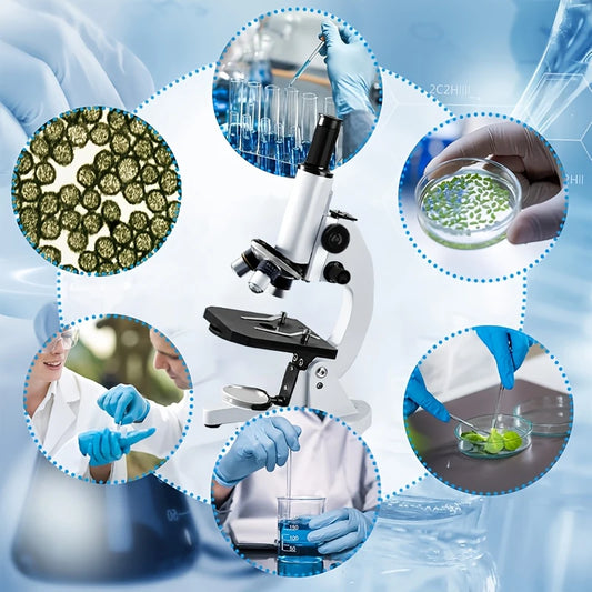 Microscope Professionnel Complet avec Accessoires – Grossissement jusqu’à 1600X, Compatible Smartphone & PC