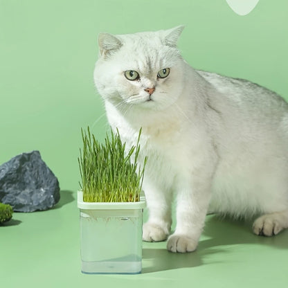 Pot Germoir Transparent avec Couvercle Filtré – Idéal pour la Germination de Graines à la Maison (1 pièce)