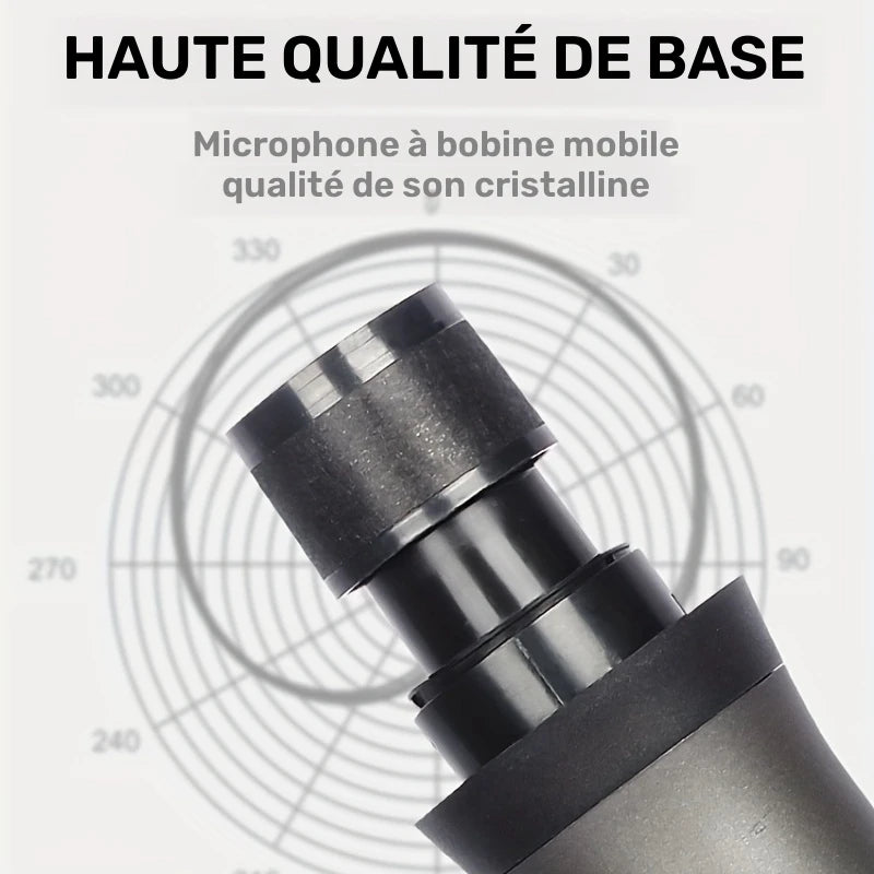 Microphones Sans Fil UHF – Micros Professionnels avec Récepteur Jack pour Karaoké, Concerts et Événements