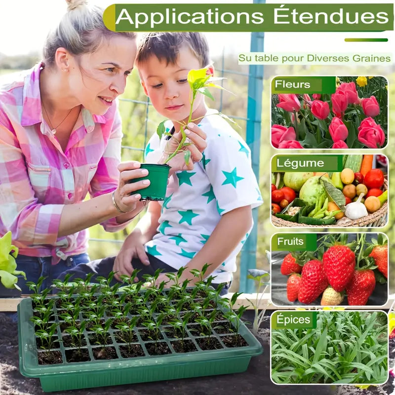 Mini-Serre de Germination avec Éclairage LED – Kit Complet pour Semis Rapides et Croissance Optimisée