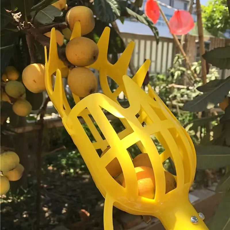 Cueille-fruits ergonomique en plastique robuste Outil de jardinage pratique pour récolter fruits et agrumes en hauteur