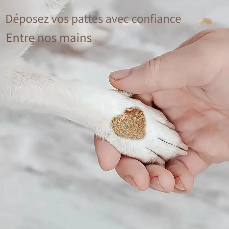 Pierre Ponce pour Chiens et Chats – Lime Manuelle pour Coussinets et Griffes, Format Compact