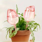 Bulbes d’Arrosage Automatique en Forme de Tulipe – Lot de 1/2/4 Goutteurs Décoratifs pour Plantes en Pot