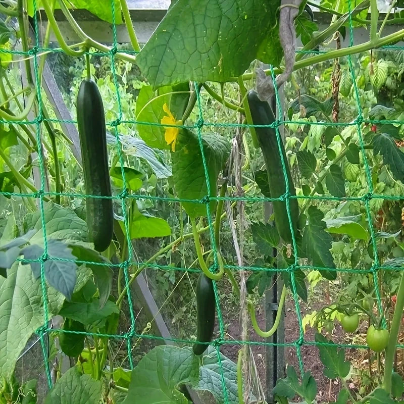 Filet de Support pour Plantes Grimpantes – Idéal Tomates, Concombres, Haricots – Jardin Potager