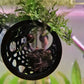 Cachette pour Poissons en Forme de Tunnel – Refuge en Plastique avec Ventouses pour Aquarium Betta et Guppys