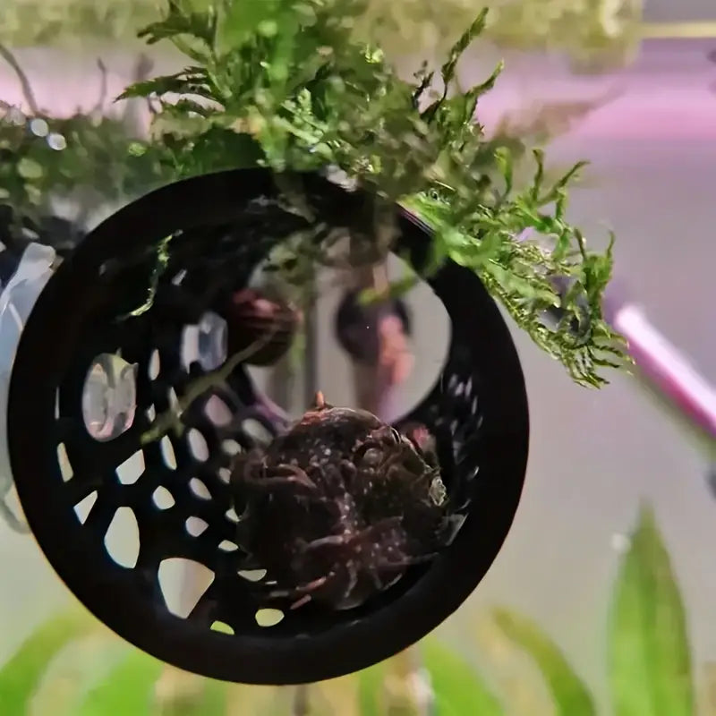 Cachette pour Poissons en Forme de Tunnel – Refuge en Plastique avec Ventouses pour Aquarium Betta et Guppys