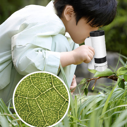 Microscope Portable pour Enfant – Grossissement jusqu’à 200X, Jeu Éducatif pour Observation Nature & Feuilles