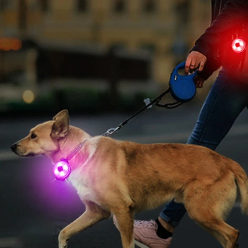 Lumière de sécurité LED pour collier – Accessoire personnalisable pour animaux de compagnie