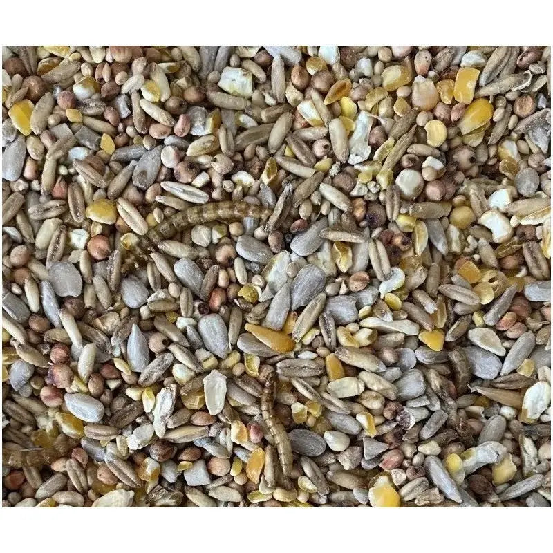 Mélange Spécial pour Rouge-gorge et Oiseaux Chanteurs – Johnston & Jeff – Aliment Naturel 2 kg