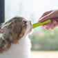 Bâtonnets à l’Herbe à Chat Naturels – Friandises Dentaires pour Chats | 100% Naturels et Digestes