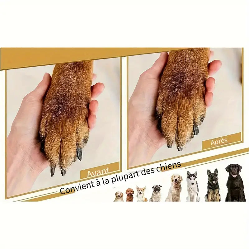 Pierre Ponce pour Chiens et Chats – Lime Manuelle pour Coussinets et Griffes, Format Compact