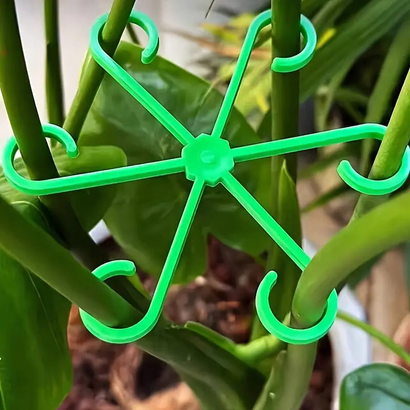 Clips de support pour plantes Tuteurs réglables pour maintenir et guider la croissance