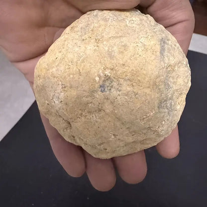 Boules Naturelles Séchées pour Décoration et Artisanat – Matériau Durable pour Projets Industriels et Créatifs