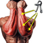 Exerciseur de main réglable 5 à 60 kg – Appareil musculation poigne avec compteur