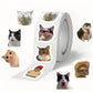 Autocollants Drôles de Chats – Stickers Amusants en Rouleau pour Ordinateur Portable, Tablette et Décoration DIY