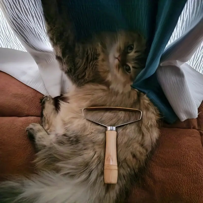 Rasoir Anti-Poils d’Animaux – Brosse Magique Réutilisable pour Tapis, Canapés et Vêtements