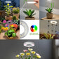 Lampe de Croissance LED à Spectre Complet pour Plantes – Éclairage Intelligent pour Jardin d’Intérieur