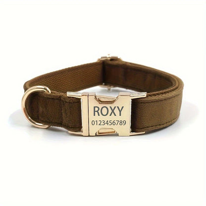 Collier pour chien personnalisé avec boucle gravée – Sécurité et style au quotidien
