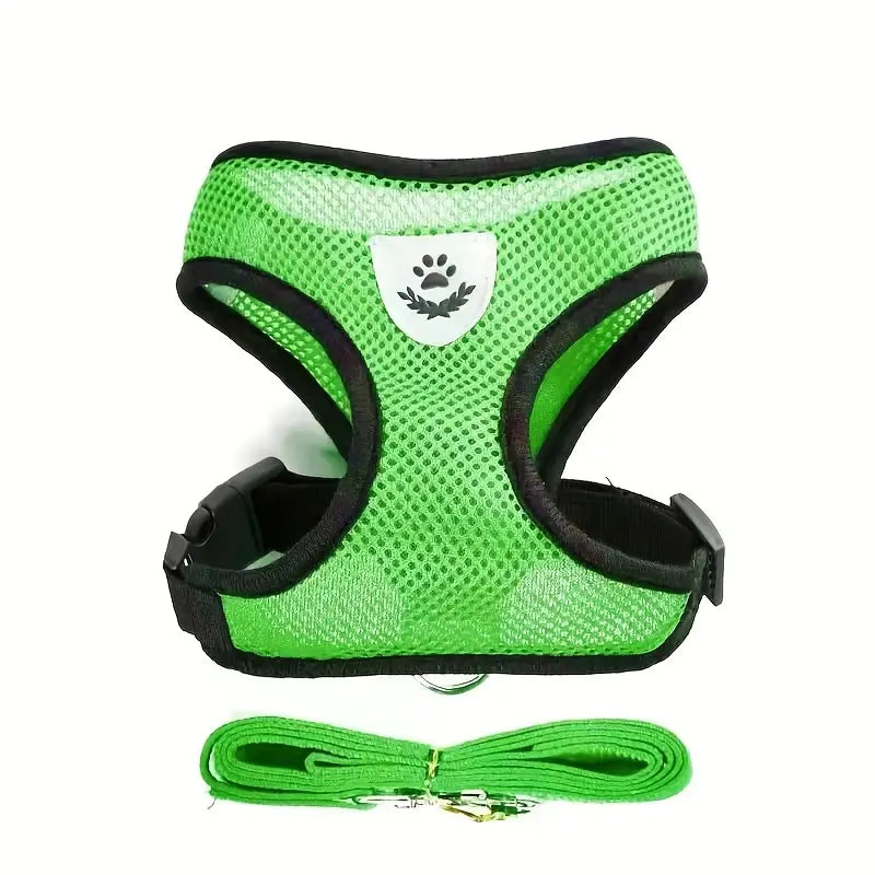 Harnais Respirant Réglable pour Chien avec Laisse – Gilet de Promenade Confortable et Sécurisé pour Petit et Moyen Chien