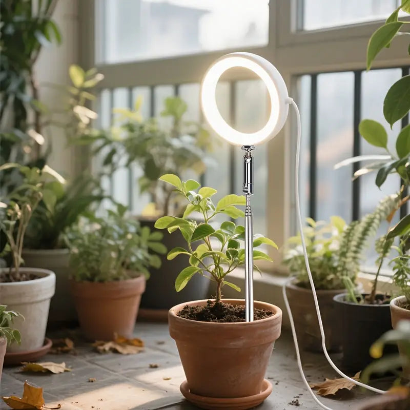 Lampe LED de Croissance pour Plantes d’Intérieur – Lumière Anneau à Spectre Complet pour Serres et Jardins Intérieurs
