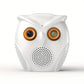 Caméra de Surveillance Extérieure en Forme de Hibou – Vision Nocturne HD, Détection de Mouvement et Audio Bidirectionnel