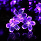 Guirlande Fleur LED Violette – Lumière Décorative Romantique pour Soirée, Mariage et Ambiance Cocooning