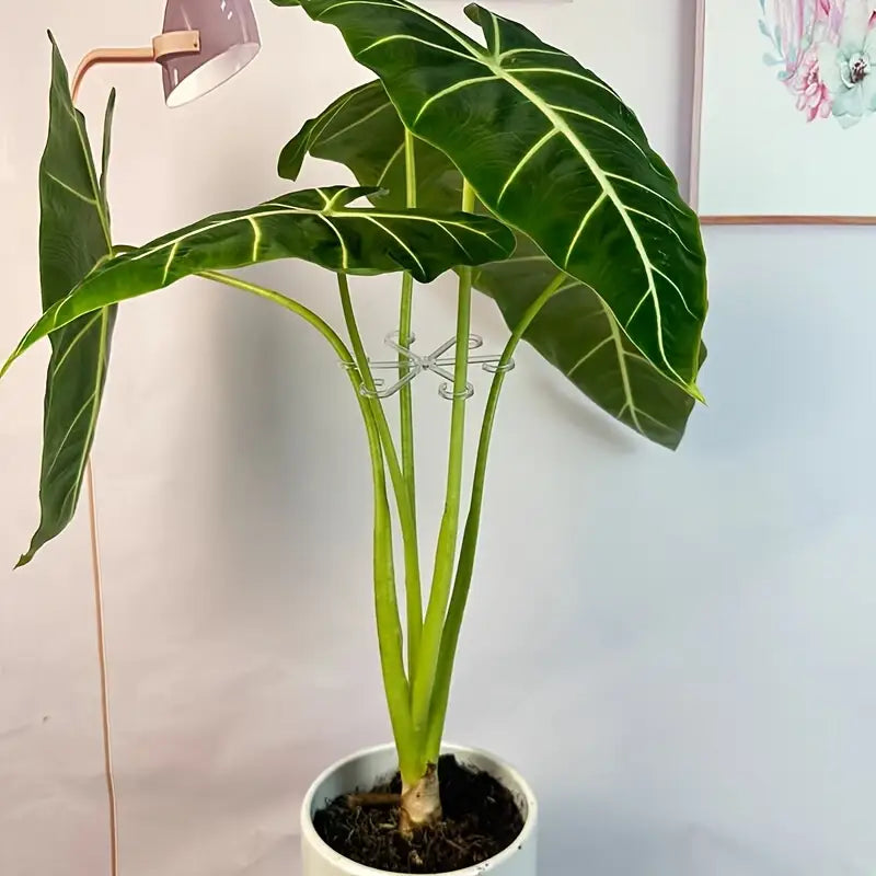 Clips de support pour plantes Tuteurs réglables pour maintenir et guider la croissance