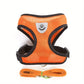Harnais Respirant Réglable pour Chien avec Laisse – Gilet de Promenade Confortable et Sécurisé pour Petit et Moyen Chien