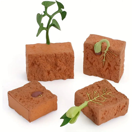 Maquette Éducative Cycle de Vie des Plantes – Jouet Scientifique pour Apprentissage et Observation des Enfants