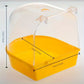 Baignoire pour oiseaux avec couvercle – Bac de bain transparent 13 cm pour oiseaux et perruches – Accessoire pratique pour l’hygiène et le bien-être des oiseaux