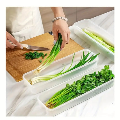 Boîte de Rangement Alimentaire Longue en Plastique – Conservation Fraîcheur pour Légumes et Herbes en Magasin