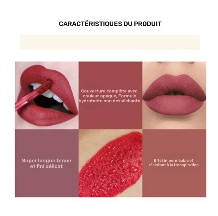 Coffret 6 Rouges à Lèvres Liquides Mat – Teintes Nude & Rosées Longue Tenue