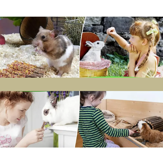 Bâtonnets à Mâcher pour Lapins et Rongeurs – Friandises Naturelles aux Fleurs Séchées et Bois de Pommier