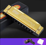 Harmonica Professionnel 10 Trous