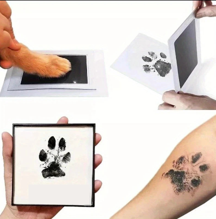 Kit empreintes personnalisées pour animaux – Capture facile de la patte sur papier sans encre