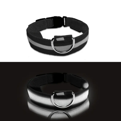 Collier Lumineux LED pour Chien – Réglable, Réfléchissant et Rechargeable pour Promenades Nocturnes en Toute Sécurité