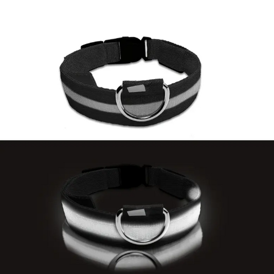 Collier Lumineux LED pour Chien – Réglable, Réfléchissant et Rechargeable pour Promenades Nocturnes en Toute Sécurité