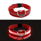 Collier Lumineux LED pour Chien – Réglable, Réfléchissant et Rechargeable pour Promenades Nocturnes en Toute Sécurité