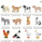 Lot de Figurines d’Animaux Miniatures pour Petits Animaux – Jouets Éducatifs et Ludiques