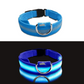 Collier Lumineux LED pour Chien – Réglable, Réfléchissant et Rechargeable pour Promenades Nocturnes en Toute Sécurité