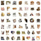 Autocollants Chats Drôles – Stickers Vinyle Amusants pour Ordinateur Portable, Tablette et Journal